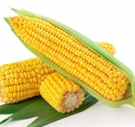 玉米振動篩如何選擇？